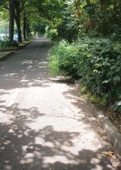 Carril bici Urumea