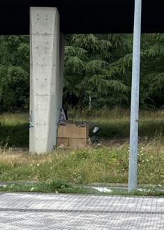 Inseguridad por campamento ilegal en Riberas