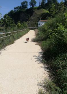 Paseo olvidado 