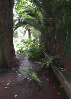 Peligro en el Paseo de Ulía 