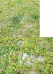 Dejadez de mantenimiento