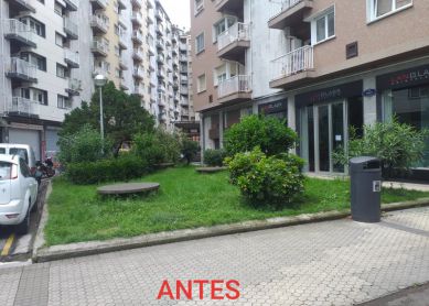 Destrucción de jardines en la plaza de los  Estudios