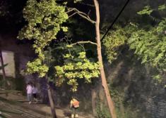 Motosierra a las 5 de la mañana