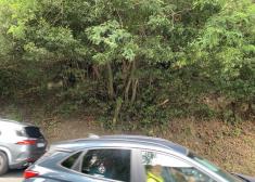 Peligro en la subida a Igeldo 