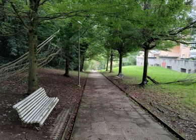 Ramas caídas tras temporal en el paseo trasera Katalina Eleizegi