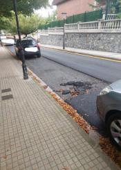 Despropositos municipales