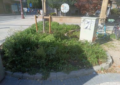 Paseo Árbol de Gernika en estado deplorable 