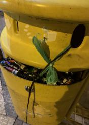 Contenedores de pilas desbordados