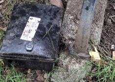 Plaga de ratas en Amara Berri