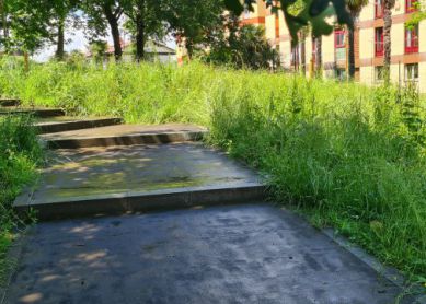 ¿Qué está pasando con los jardines en Donostia?