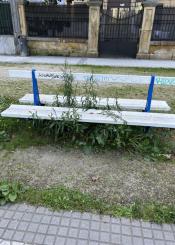 Jardinería descuidada en el paseo del Árbol de Gernika