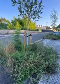 Abandono del barrio de Atotxerreka 