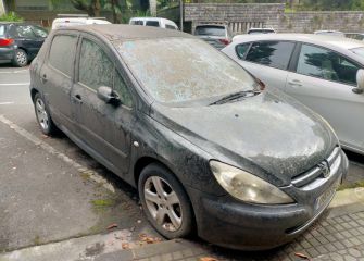 Coche abandonado