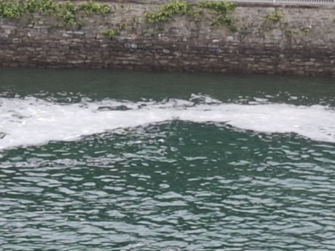 Residuos en Donostia-San Sebastián