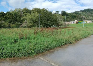 Jardines y parques sin mantenimiento