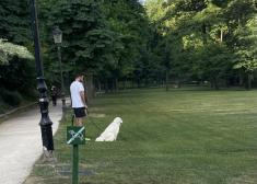 PERROS EN EL PARQUE CRISTINA ENEA