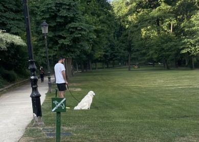 PERROS EN EL PARQUE CRISTINA ENEA