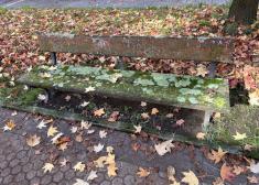 Bancos en estado lamentable en Mantulene