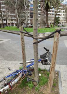 Bici abandonada atada a un árbol 