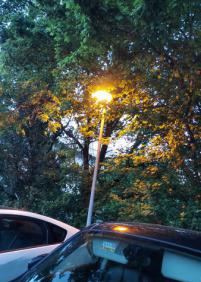 Podar para que las farolas puedan iluminar
