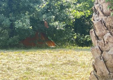 Acampadas en Riberas de Loyola