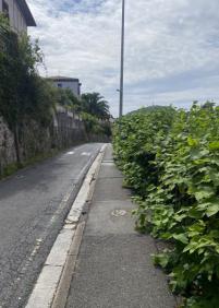 La selva