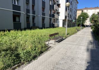 Vergúenza del estado de las aceras y los “jardines” del barrio Arri-Zar
