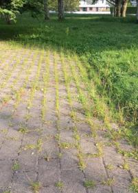 Parques abandonados
