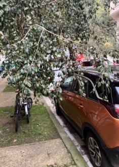 Aparcar en la Jungla