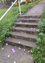 Basura en Nazaret Instituto 