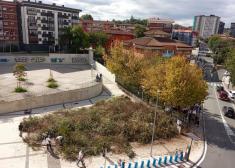 Limpieza vecinal zona verde barrio de altza