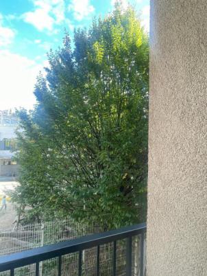 Mobiliario e infraestructuras en Donostia-San Sebastián