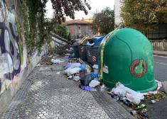 Cuando recogerá el Ayuntamiento. las basuras y el árbol caído al lado del frontón de Ategorrieta?