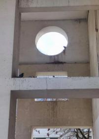 Excrementos de palomas en las plazas de Benta erri