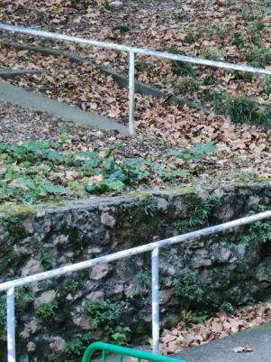 Otros en Donostia-San Sebastián
