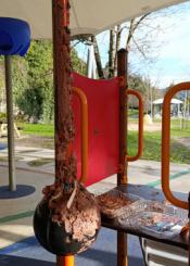 Celebración de cumpleaños incivilizada