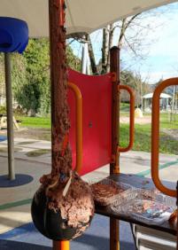 Celebración de cumpleaños incivilizada