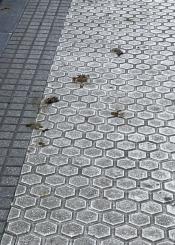 Una muestra diaria de falta de civismo 