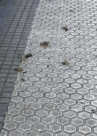 Una muestra diaria de falta de civismo 