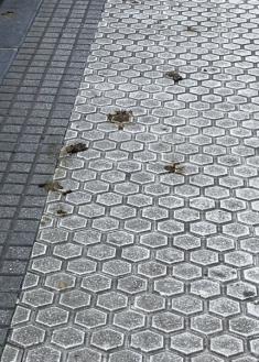 Una muestra diaria de falta de civismo 