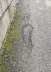 Asfalto de las calles