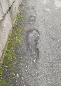 Asfalto de las calles