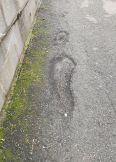 Asfalto de las calles