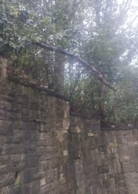 Rama  caída encima de escaleras