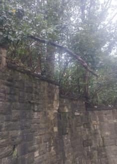 Rama  caída encima de escaleras