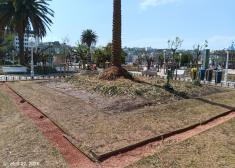 Alderdi Eder arrasado