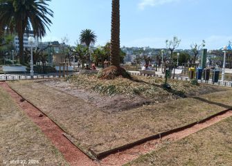 Alderdi Eder arrasado