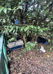 Miedo en Intxaurrondo 