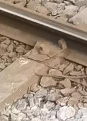 Piezas rotas en la via de Topo