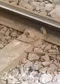 Piezas rotas en la via de Topo